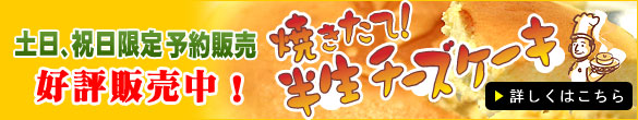 �����`�[�Y�P�[�L